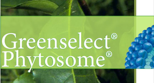 Green Tea Weight Loss - GreenSelect Phytosome