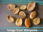 African Mango Seeds