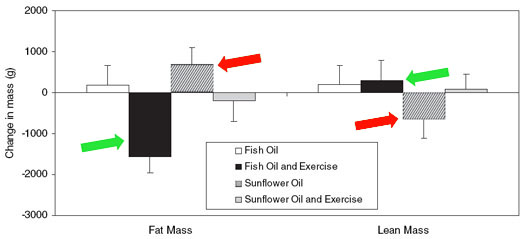 Fish Oil Weight Loss Graph